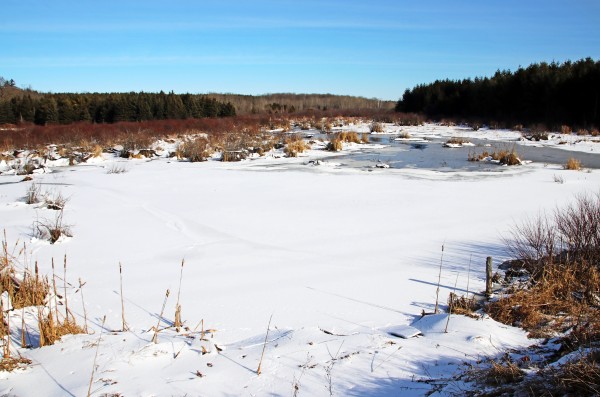 January Roadside Pond II by Deb Oppermann